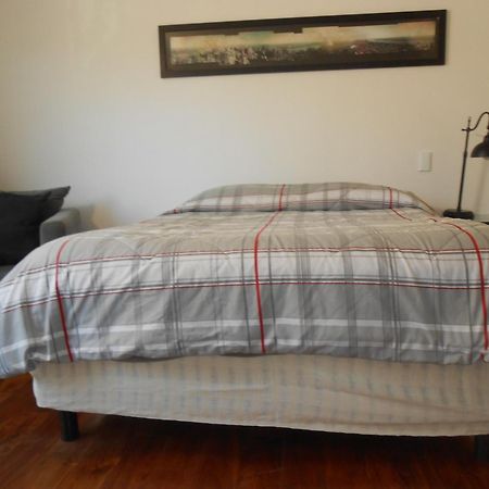 Apartament Terraza & Loft San Angel Meksyk Zewnętrze zdjęcie