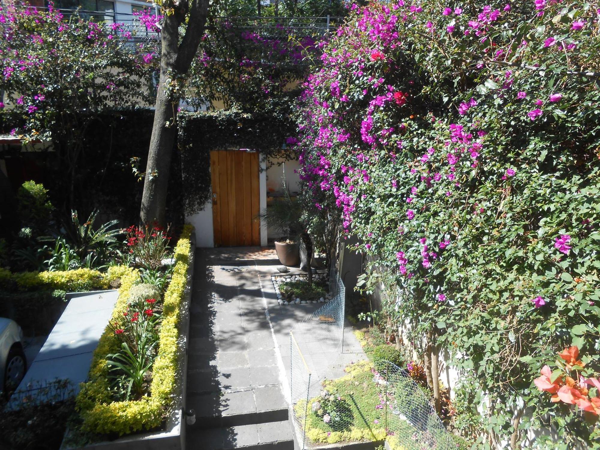 Apartament Terraza & Loft San Angel Meksyk Zewnętrze zdjęcie