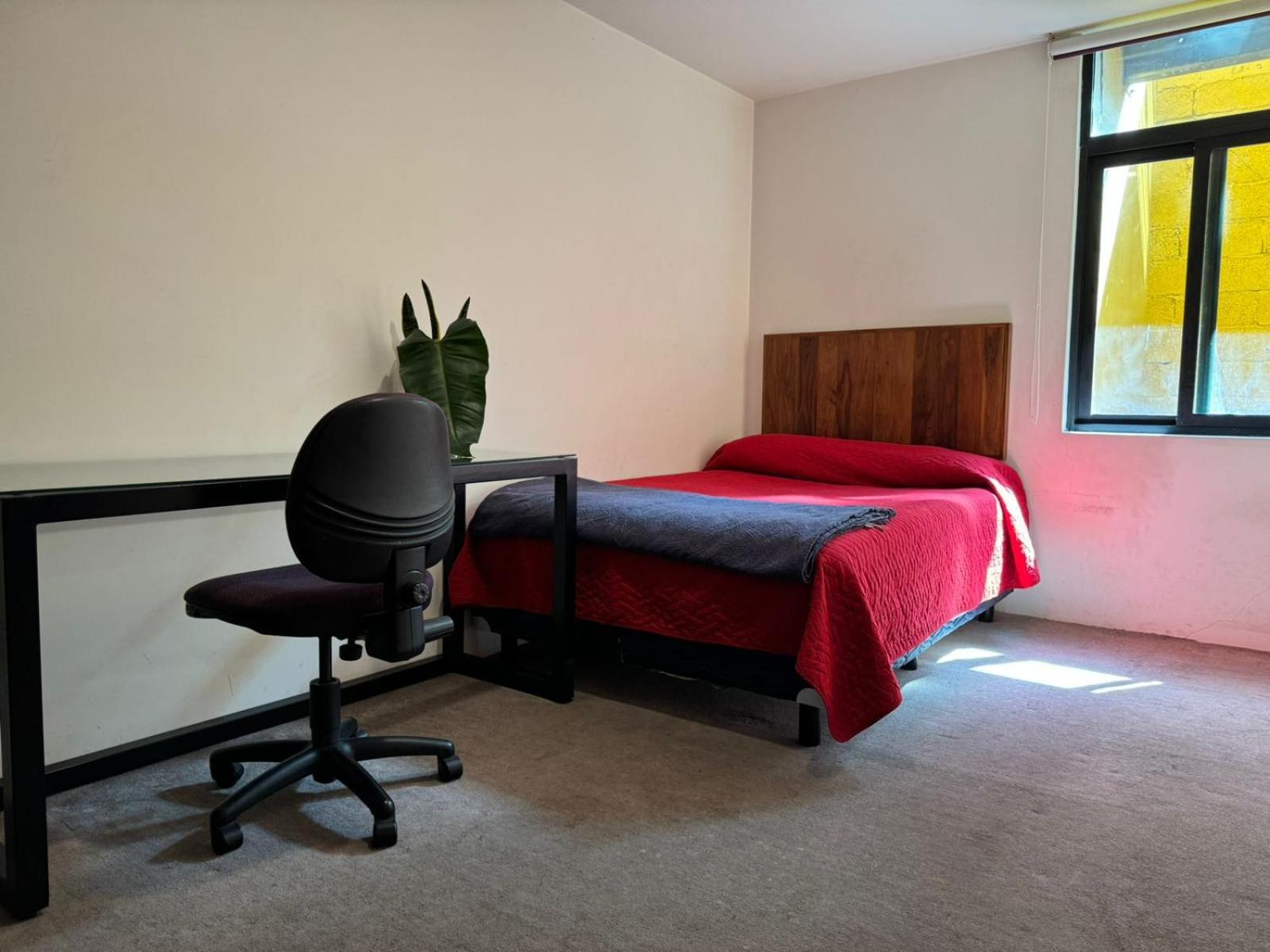 Apartament Terraza & Loft San Angel Meksyk Zewnętrze zdjęcie