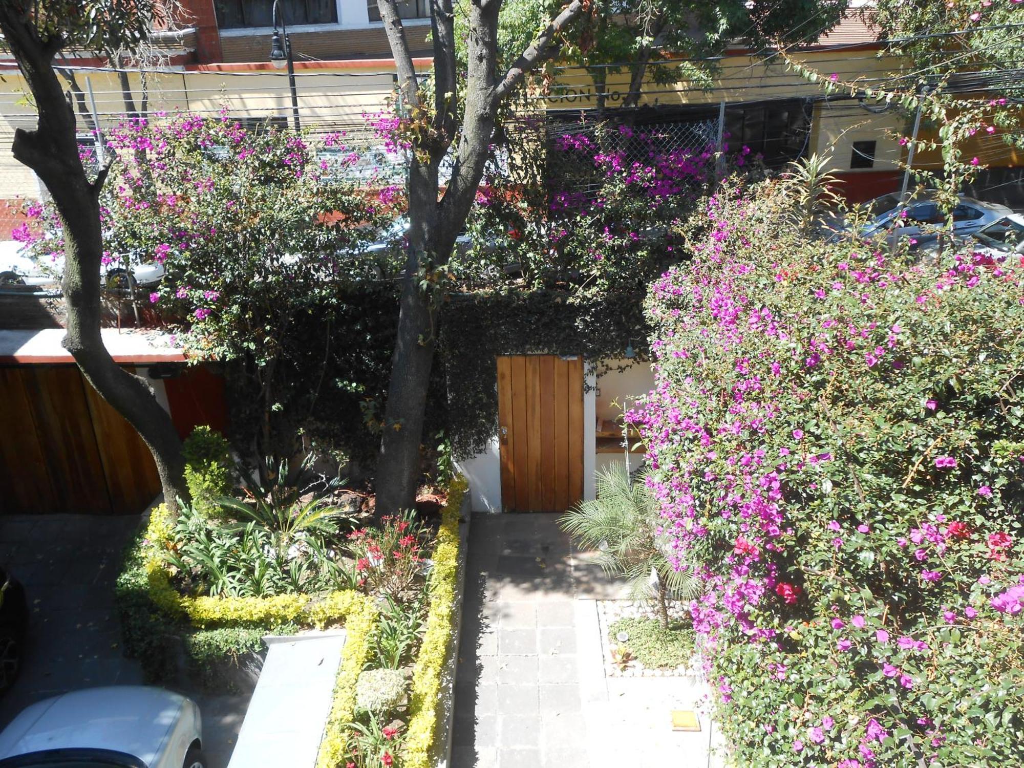 Apartament Terraza & Loft San Angel Meksyk Zewnętrze zdjęcie