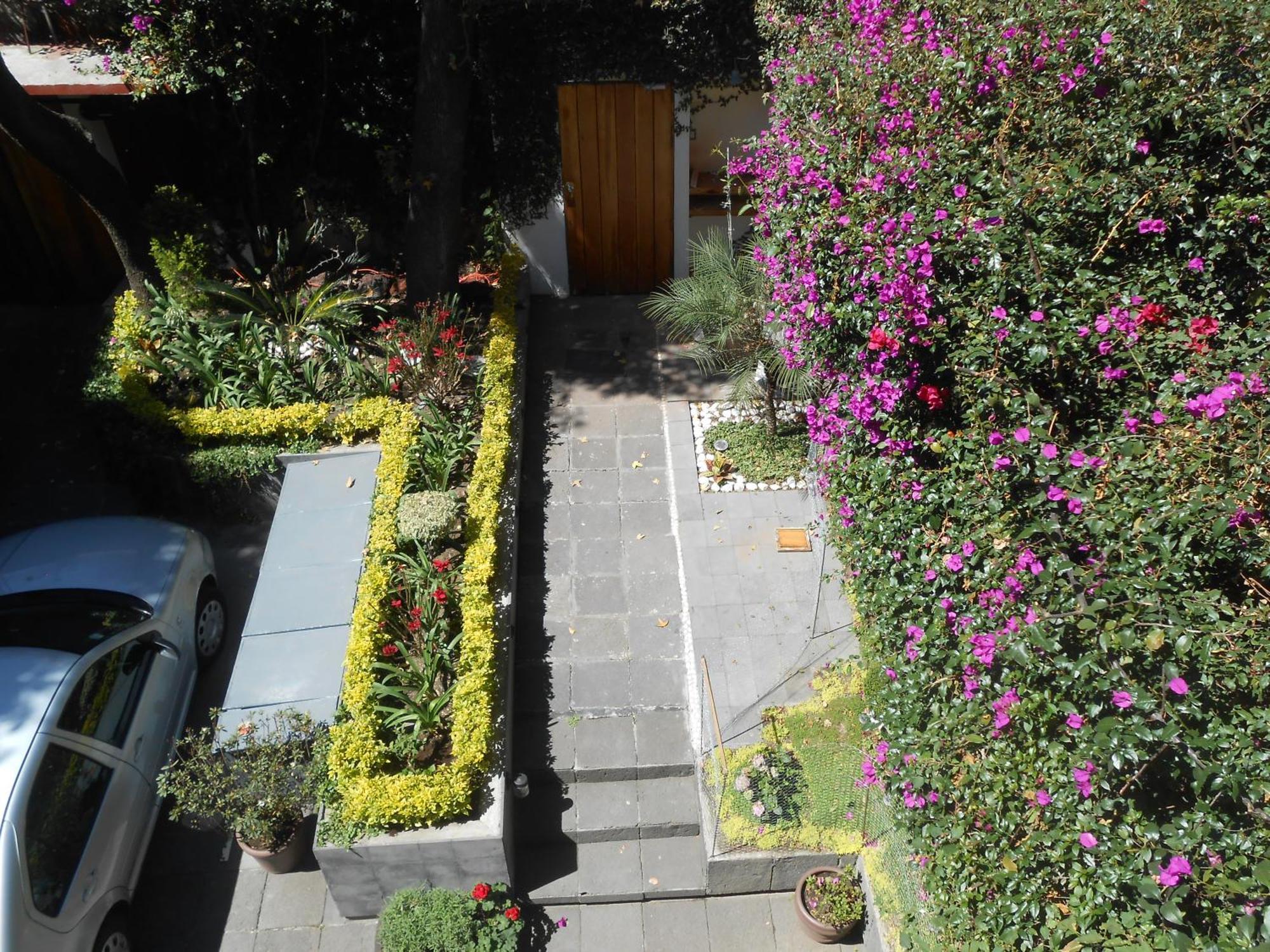 Apartament Terraza & Loft San Angel Meksyk Zewnętrze zdjęcie