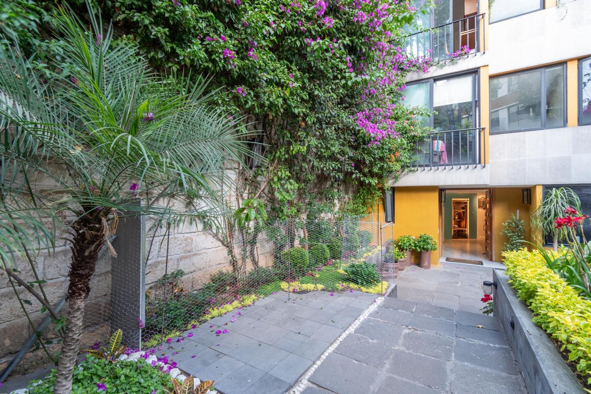 Apartament Terraza & Loft San Angel Meksyk Zewnętrze zdjęcie