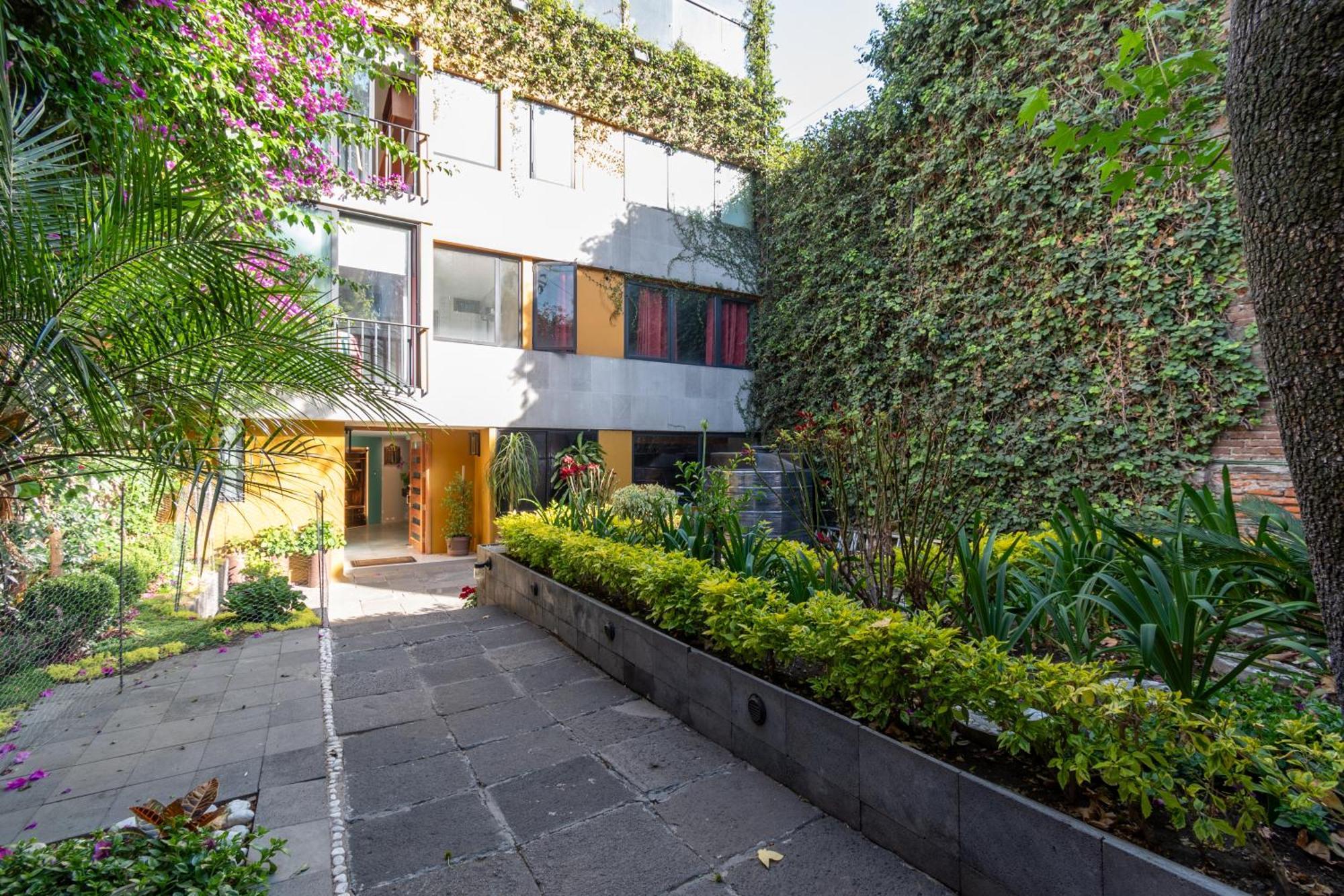 Apartament Terraza & Loft San Angel Meksyk Zewnętrze zdjęcie