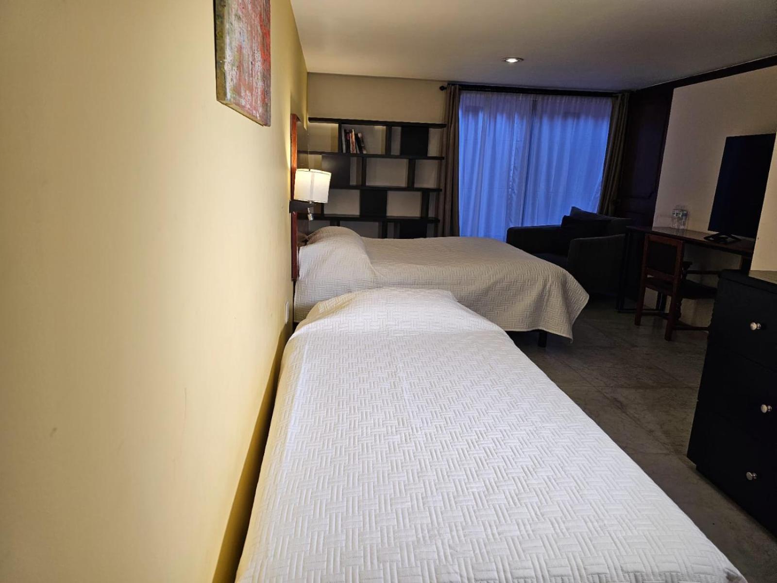 Apartament Terraza & Loft San Angel Meksyk Zewnętrze zdjęcie