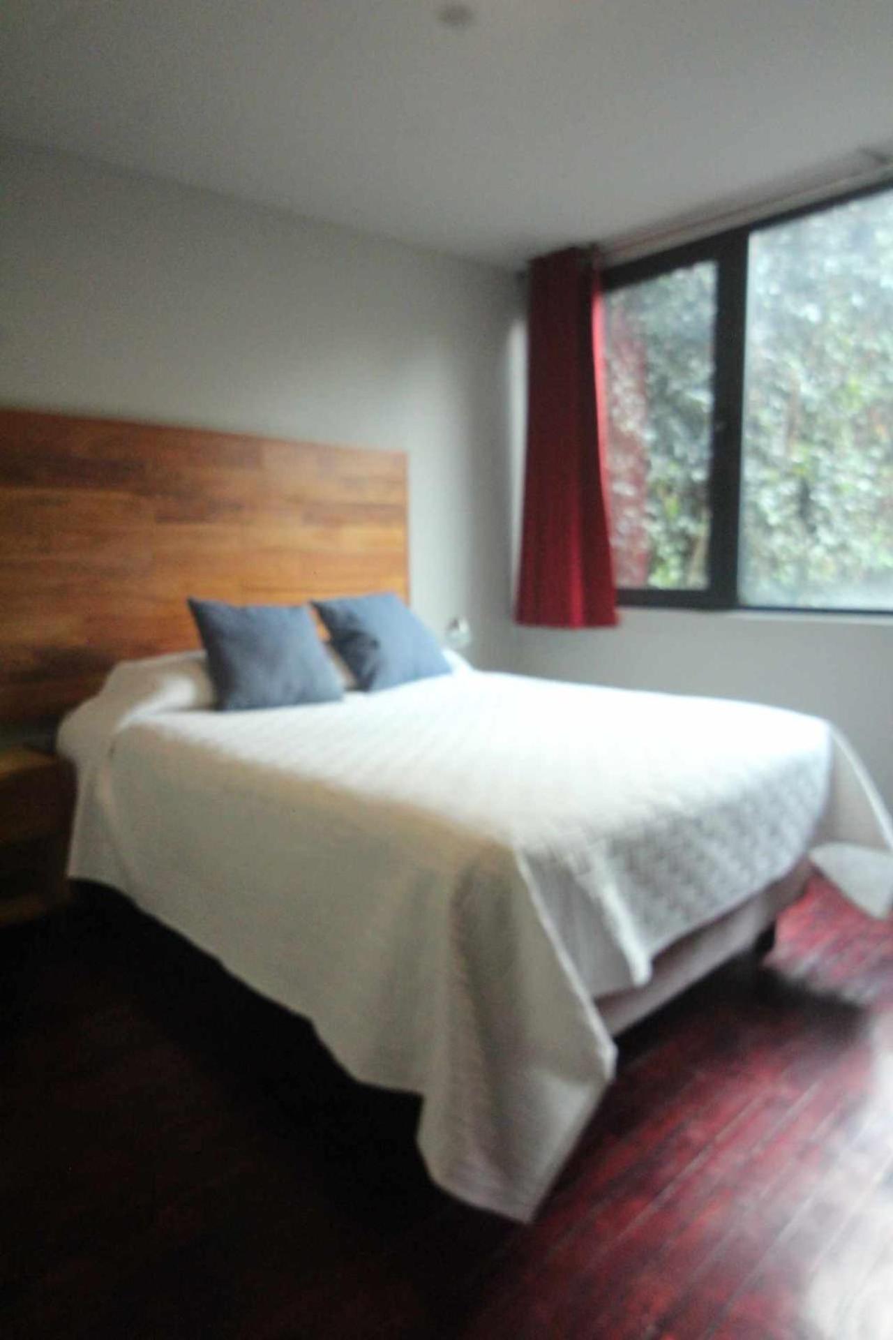 Apartament Terraza & Loft San Angel Meksyk Zewnętrze zdjęcie